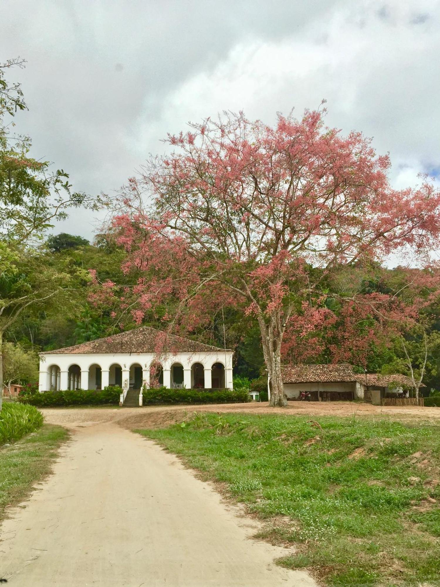 Chale Suico - Chales Belo Monte - Sitio Belo Monte Pacoti Bagian luar foto