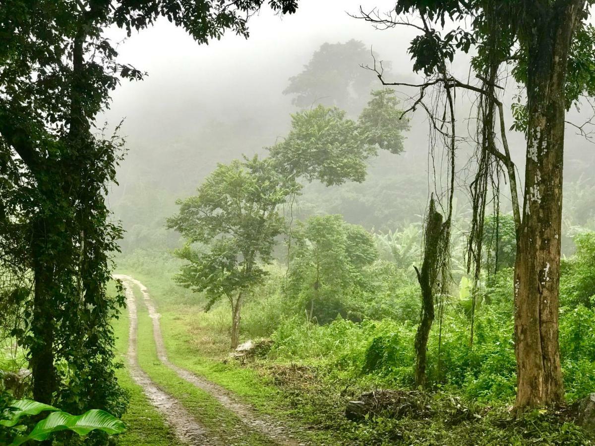 Chale Suico - Chales Belo Monte - Sitio Belo Monte Pacoti Bagian luar foto