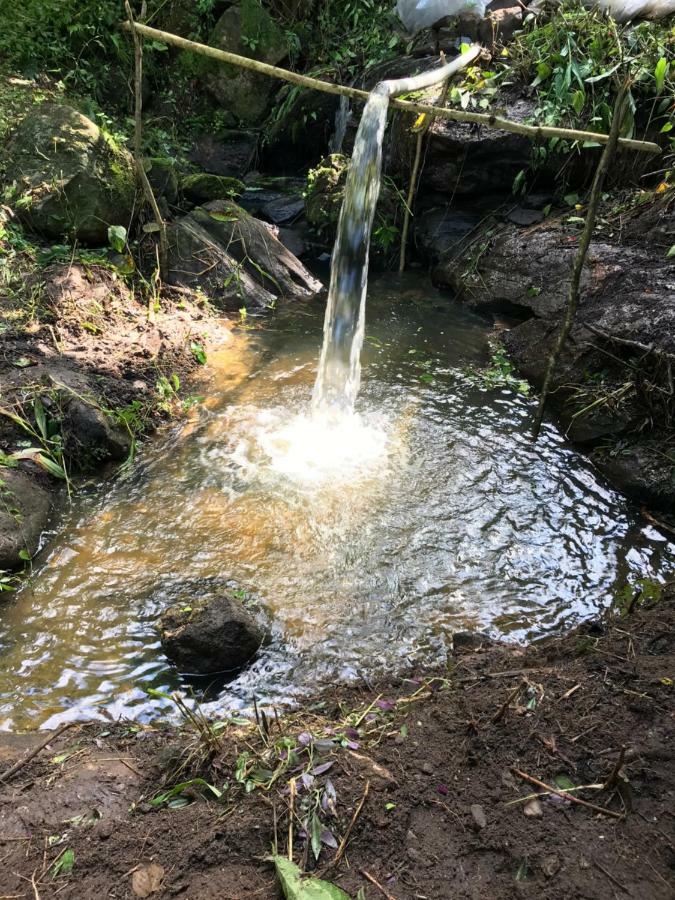 Chale Suico - Chales Belo Monte - Sitio Belo Monte Pacoti Bagian luar foto